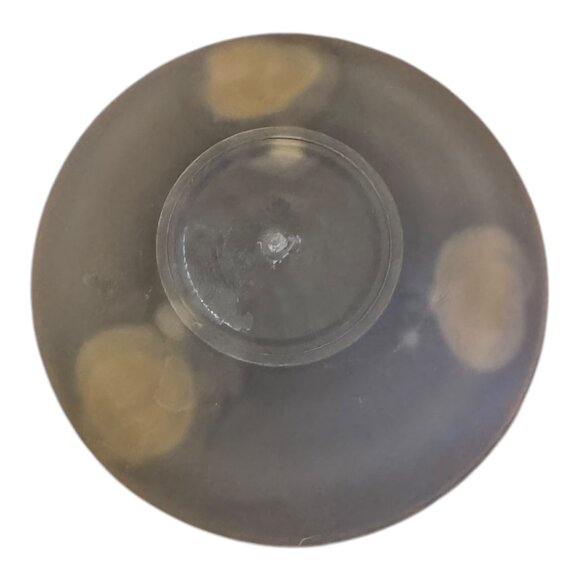 Vintage Hebron Frosted Glass Kiddush Set With Grape Design & Hebrew Blessing - Picture 9 of 9